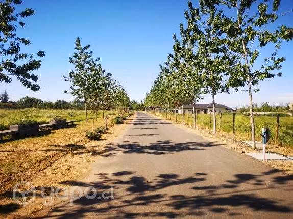 Parcela en Condominio Junquillar - Sector Las Rastras Talca