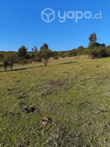 Maravillosa parcela de 1 hectárea Los Laureles - Imagen 6