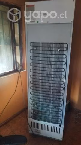Visicooler Modelo LG-268 Marca Maigas (COMO NUEVA) - Imagen 3