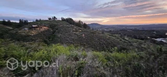 2 Lotes con Rol, sector Fuerte Aguayo
