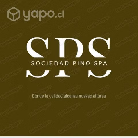 Soc. Pino SPA