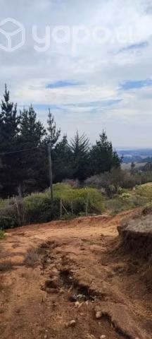 Parcela sector Chacurra, Cáhuil - Imagen 11
