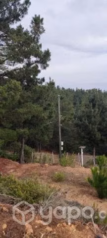 Parcela sector Chacurra, Cáhuil - Imagen 2