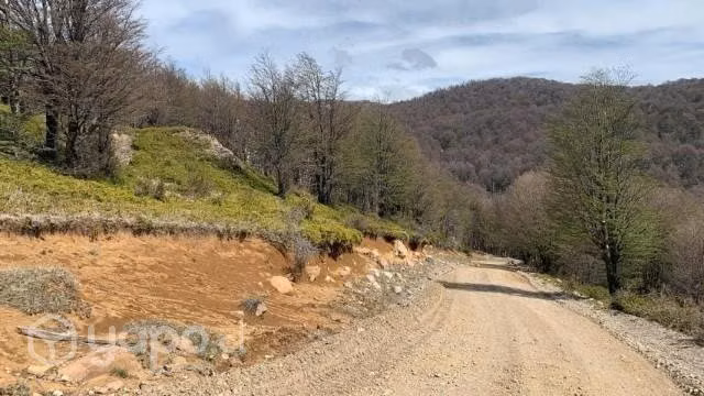 Venta de parcela - Imagen 3