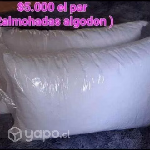 Sabanas de polar y almohadas