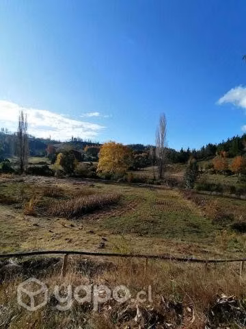Terreno en localidad de palmilla, nacimiento - Imagen 4
