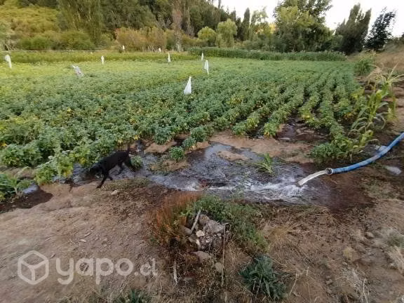 Terreno en localidad de palmilla, nacimiento - Imagen 2