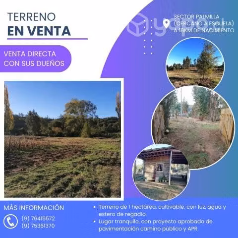 Terreno en localidad de palmilla, nacimiento - Imagen 5