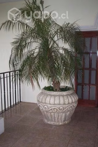 REMATO Maceteros - Imagen 2