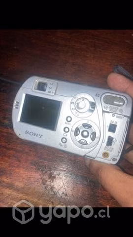 Camara digitales con rollo