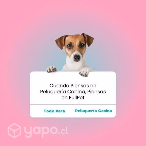Fragancias de larga duración para perros - Imagen 2