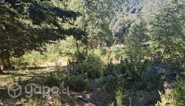 Parcela Pucon - Imagen 2