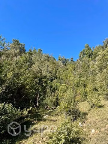 Terreno en Los Muermos