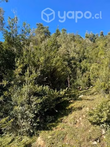 Terreno en Los Muermos