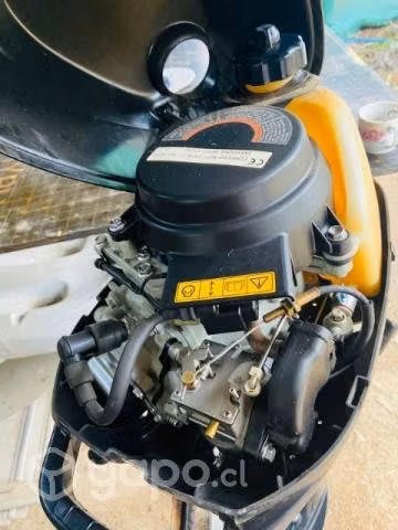 Motor fuera borda barato