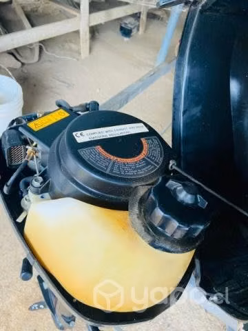Motor fuera borda barato