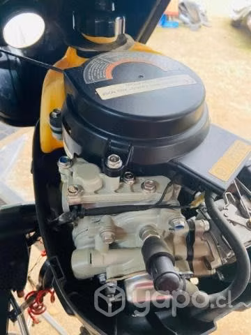 Motor fuera borda barato