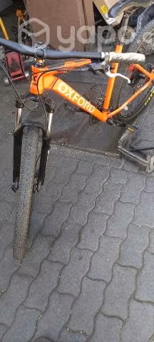 Bicicleta oxford