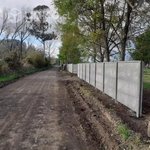 Panderetas