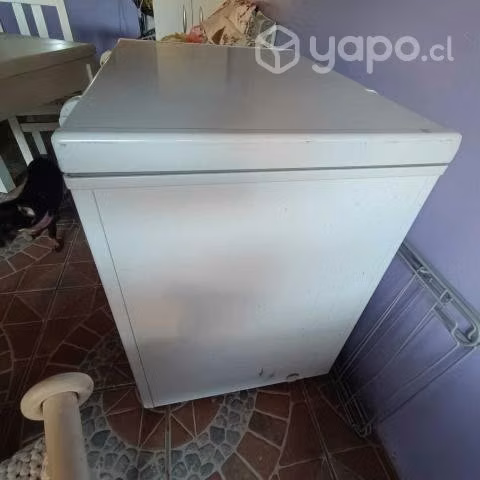 Congeladora