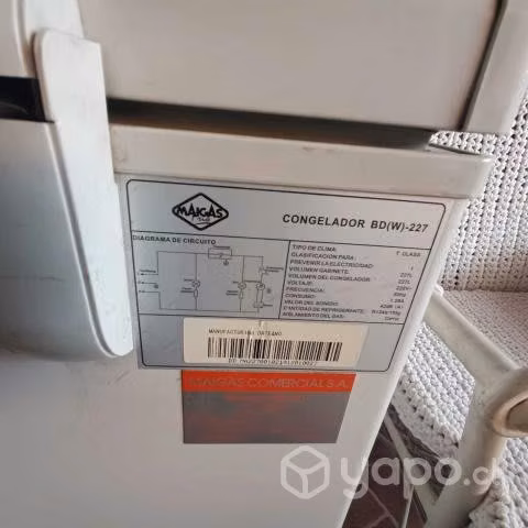 Congeladora