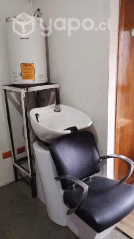 Lavapelos profesional + termo eléctrico