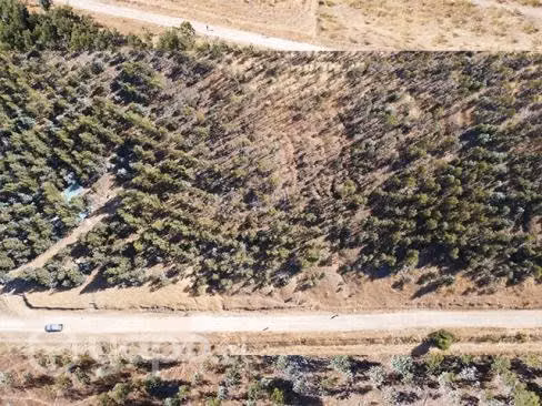Agroparcela Laja - Imagen 5