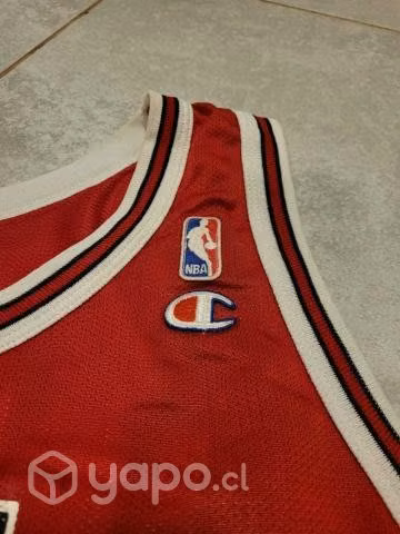 Camiseta Chicago Bulls Champion Talla 48 Jordan
