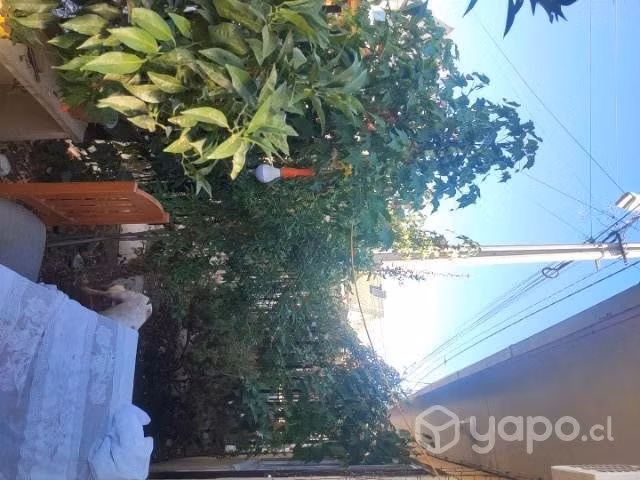 Se vende casa en Romeral