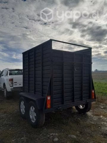 Carro hechizo para 2 caballos
