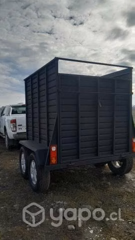 Carro hechizo para 2 caballos