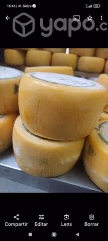 Queso Mantecoso Artesanal