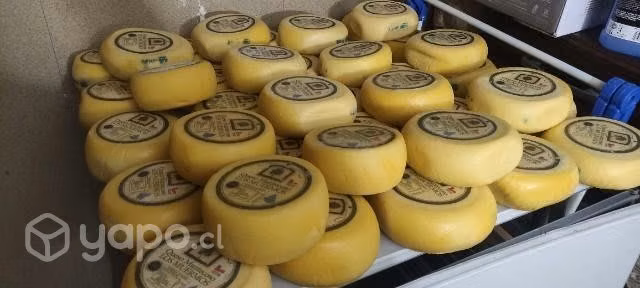 Queso Mantecoso Artesanal