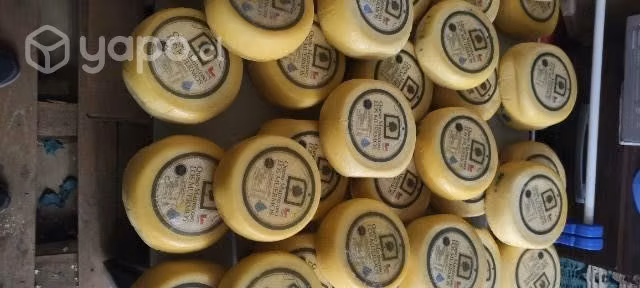 Queso Mantecoso Artesanal