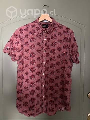 Camisas Foster y Americanino