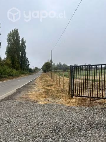 Parcelas de matancilla