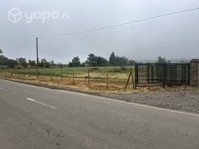 Parcelas de matancilla