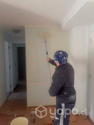 Pintura, obras y servicios