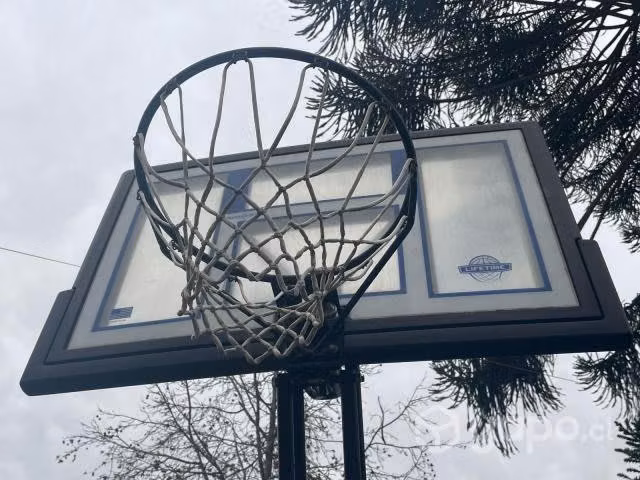 Aro de Basketball Lifetime - Imagen 4