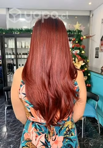 Estilista profesional colorista
