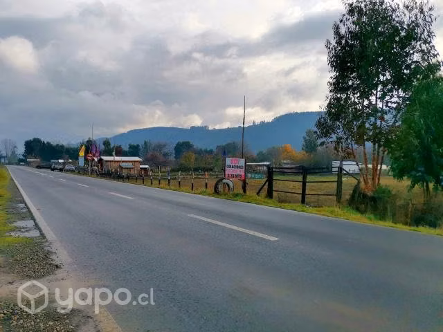 Terreno indígena a orilla de carretera Carahue-Pto - Imagen 5