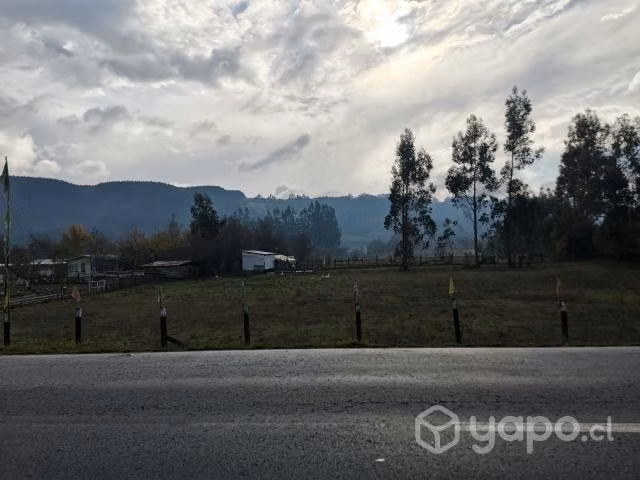 Terreno indígena a orilla de carretera Carahue-Pto - Imagen 4