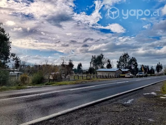 Terreno indígena a orilla de carretera Carahue-Pto