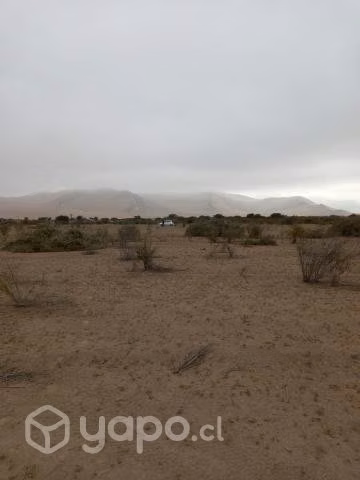 Vendo Parcela en Valle Fértil