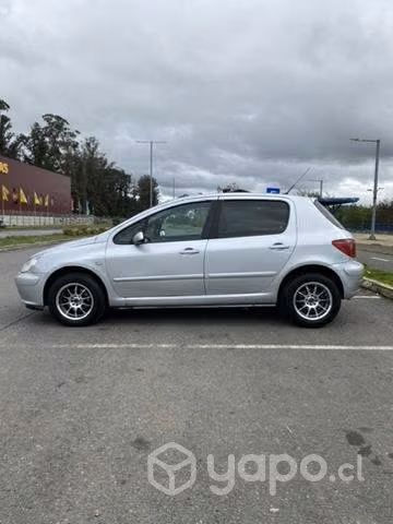 Peugeot 307 año 2004