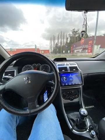 Peugeot 307 año 2004