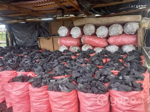 Carbón de Espino 100% alta calidad Chillan centro