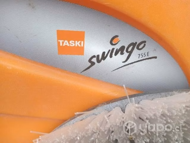 Vacuolavadora taski 755E