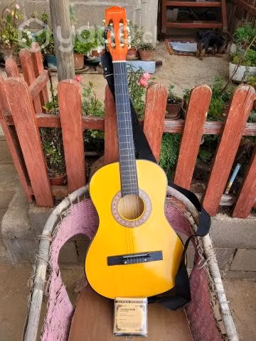 Guitarra