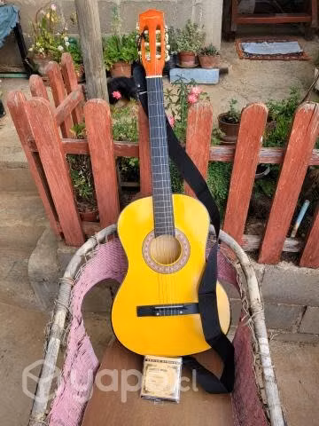 Guitarra
